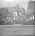 Garden in front of house