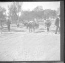 Men and burros on street