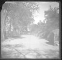 Country road