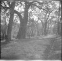 Country road