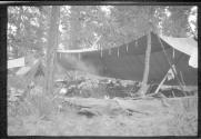 Tents and men in camp, Alaska trip
