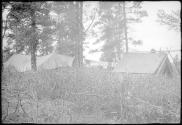 Tents in camp, Alaska trip