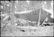 Tents in camp, Alaska trip