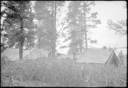 Tents in camp, Alaska trip