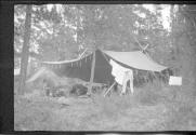 Tent, Alaska trip