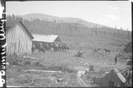 View of ranch
