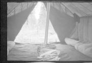 Inside of tent