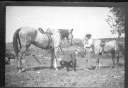 Men with horses