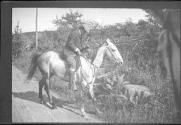 Boy on horse