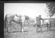 Men with horses