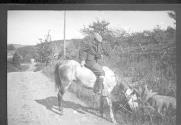 Boy on horse