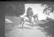 Boy on horse