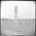 Tower and deer in field