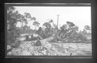 [Man clearing land]