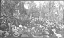 [Large group in park]