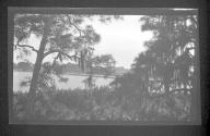 [View of river through trees]