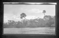[View along river]