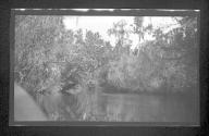 [View along river]