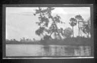 [View along river]