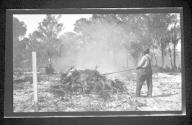 [Man burning brush on land being cleared]