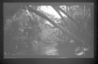 [River view]
