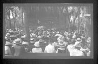 [Group of people at concert in park]