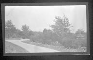 [View of driveway]