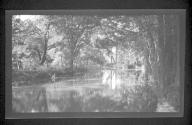 [River view]