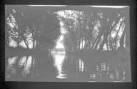 [River view]