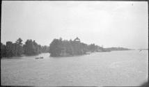 [View of shore from river]