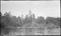 [View of shore from river]