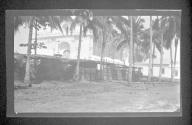 [Large building surrounded by palm trees - Mexico (?)]