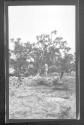 [Men clearing land]