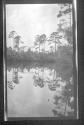 [View along river]