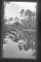 [View along river]