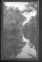 [View along river]
