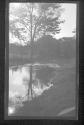 [Tree & river]