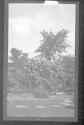 [Garden view]