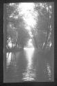 [River view]