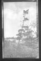 [Trees along river]