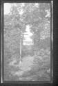 [Forest view]