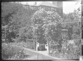 [Garden view]
