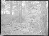 [Wooded landscape]