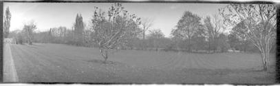 Landscape of Eastman House lawn-East lawn