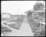 Terrace Garden - August 1905