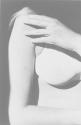 [Female Torso]