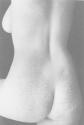 [Female Nude]