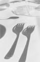 [Forks]