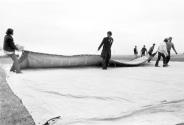 [Circus Knie Workers Setting Up Tent]