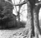Untitled ("Motion Sound" Landscape)